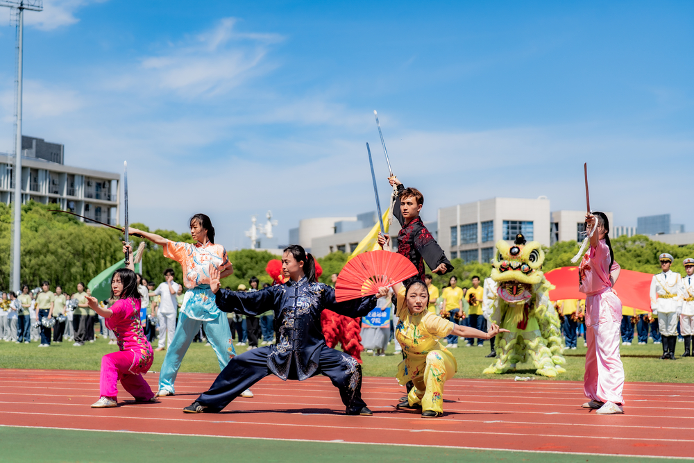 武術表演