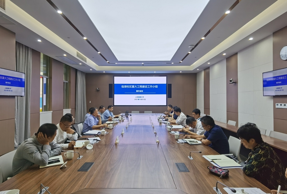 重大工程建設工作小組首次會議
