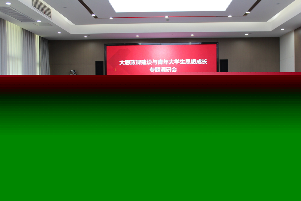 專題調研會議現場