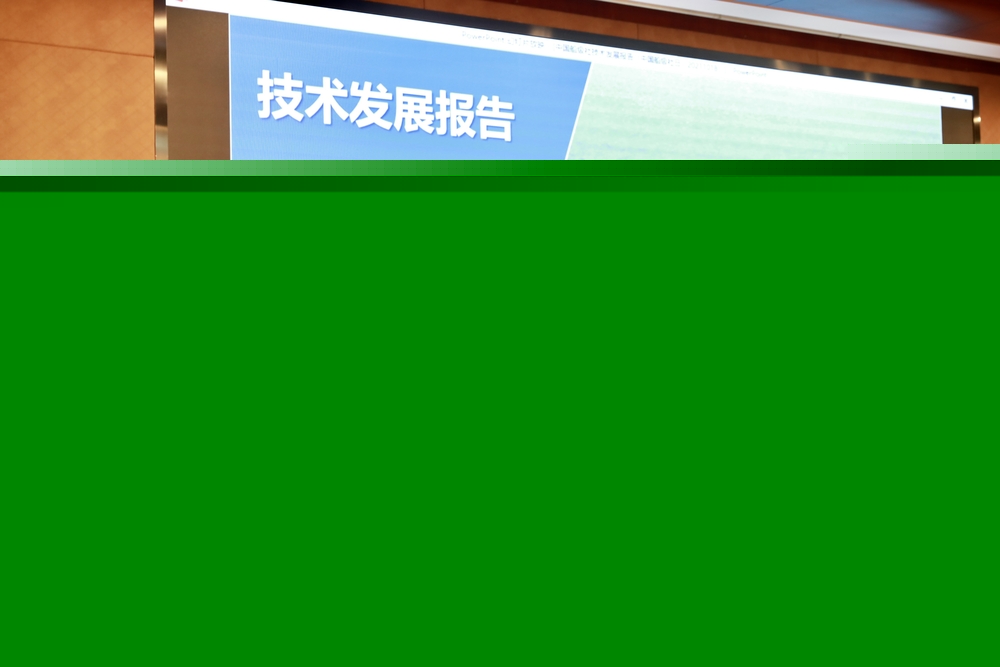 中國(guó)船級(jí)社上海規(guī)范研究所副所長(zhǎng)王剛作報(bào)告